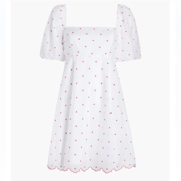 Hill House Dresses & Skirts - Hill House Matilda Mini Dress in Cherry Organza